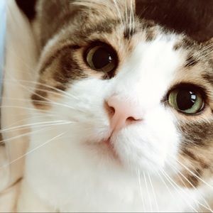 Meet your Posher, Zihang